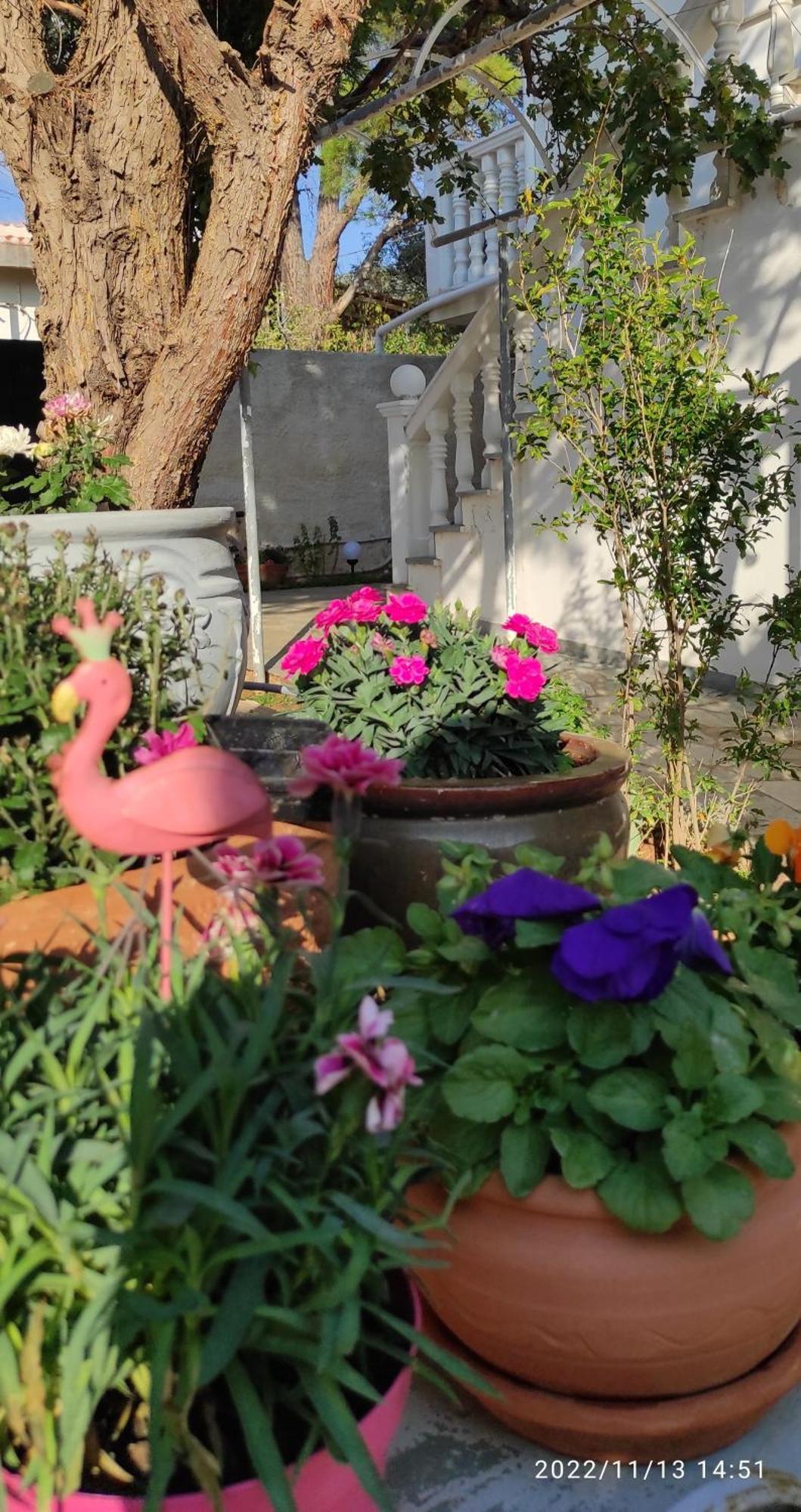 Secret Garden Home Lagonissi Attiki Foinikia  Екстер'єр фото