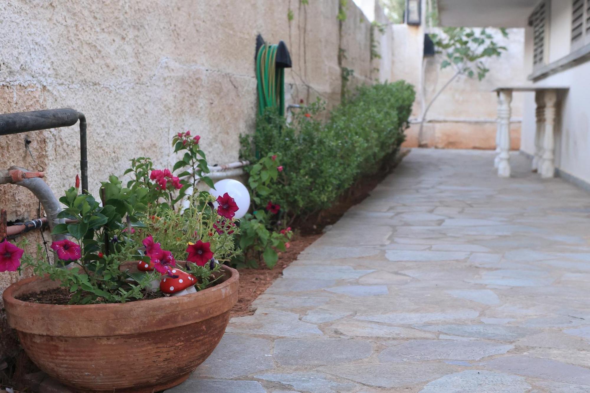 Secret Garden Home Lagonissi Attiki Foinikia  Екстер'єр фото