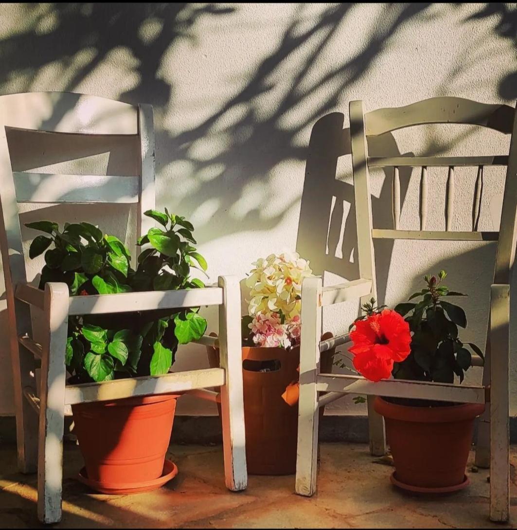 Secret Garden Home Lagonissi Attiki Foinikia  Екстер'єр фото